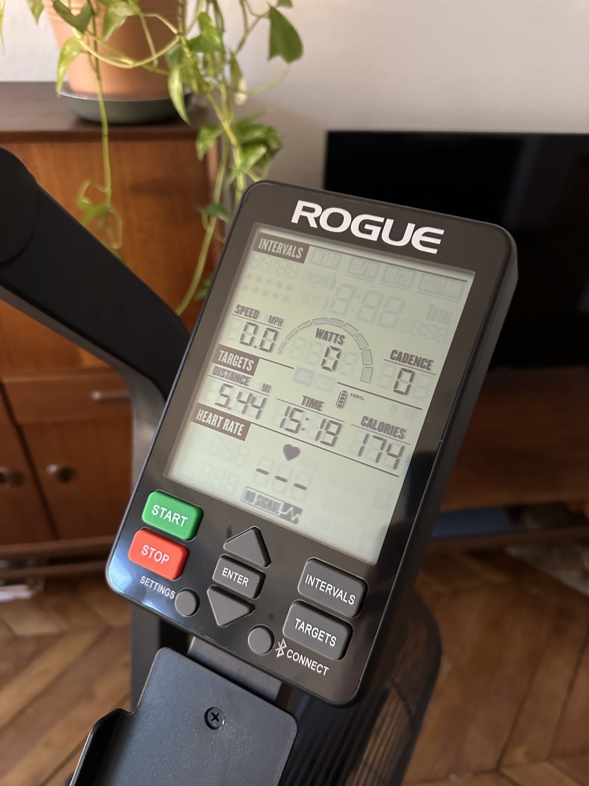 ROGUE Echo Bike V3