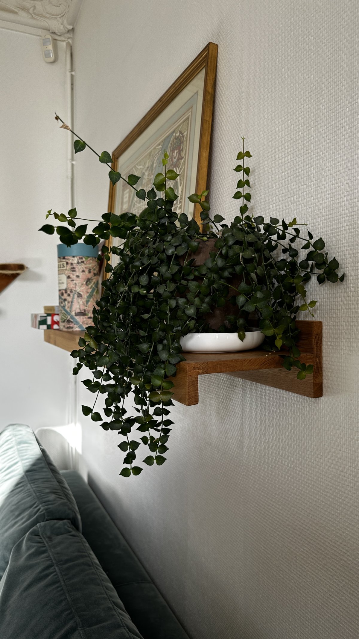 Etagère murale en chêne massif